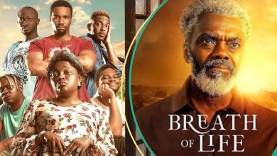 AMVCA 2024 Best Movie: Fans Pick Between a Tribe Called Judah and Breath of Life, Give Reasons