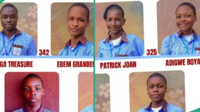 JAMB UTME Results of 9 Students From Private School Goes Viral on Internet Due to Their High Scores