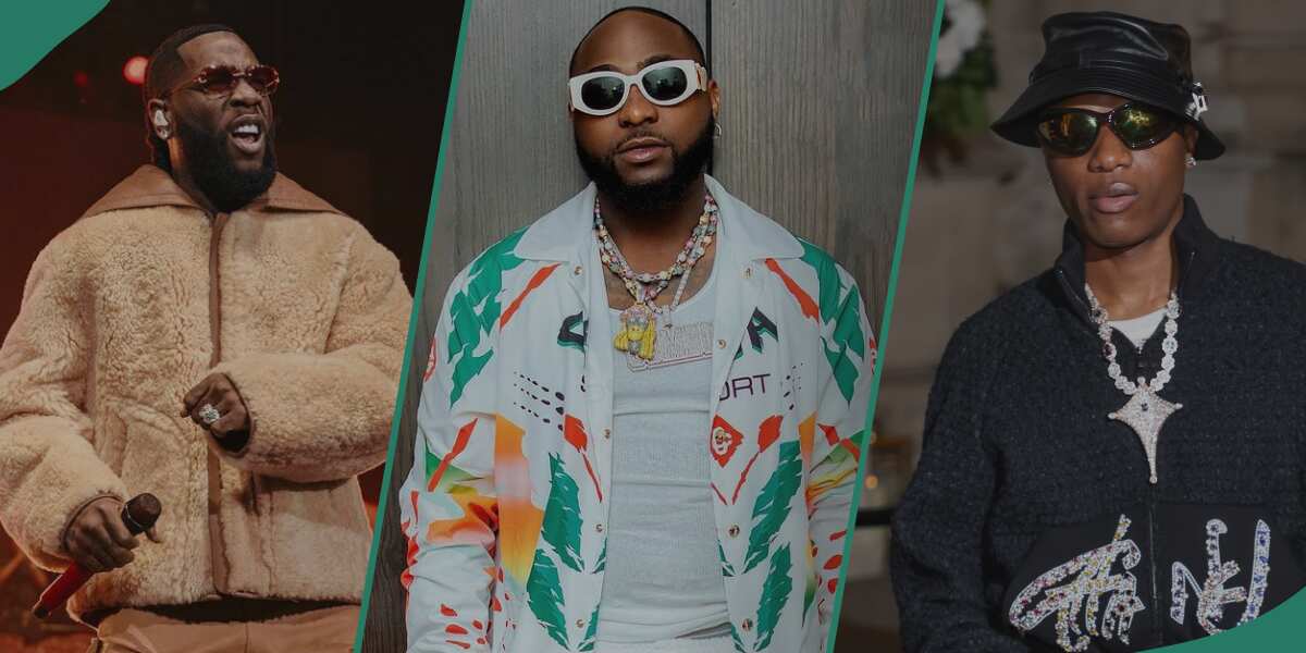 "This Na Fake Love": Burna Boy Hangs Wizkid and Davido's Portraits in His House, Fans React