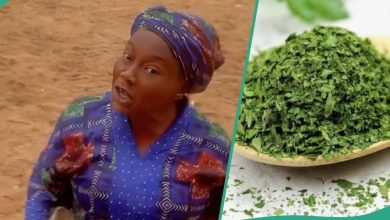 Nigerian Lady Who Sells Herbs Speaks Good English, Gets Job Offer
