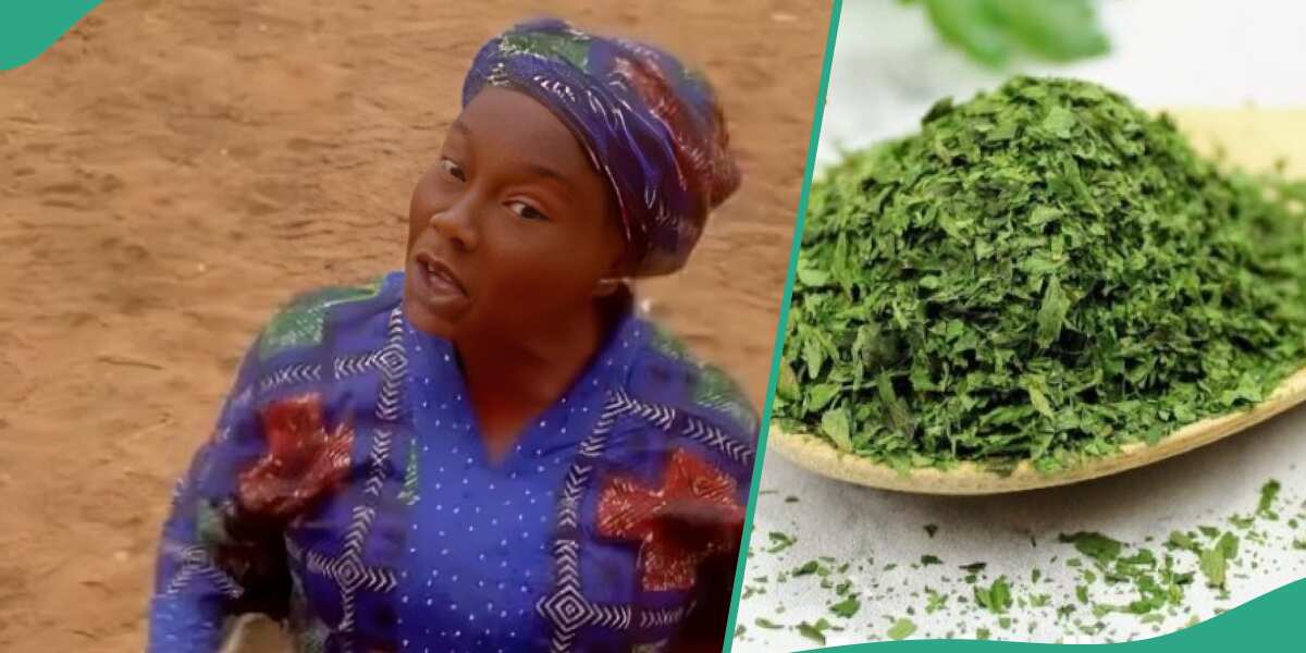Nigerian Lady Who Sells Herbs Speaks Good English, Gets Job Offer