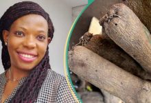 "This Country Is Finished": Lady's 2014 Post Shows Price of 6 Yams 10 Years Ago, People React