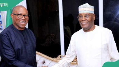 2027 Presidency: Atiku's Aide Explains Why Peter Obi Visited Former VP in Abuja