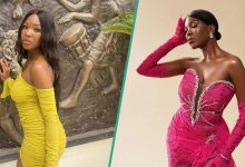 BBNaija's Vee Complains about the High Cost of Wigs and its Maintenance, Fans Advise Her: "Cut It"