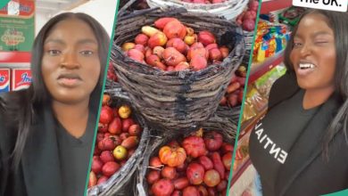 Lady Relocates to UK, Sells Indomie, Fresh Tomatoes and Other Provisions, Opens African Store