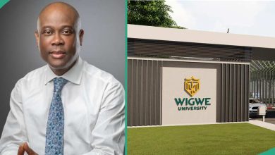 Deadline out: Wigwe University Announces Full Scholarship Mascot Competition, How to Apply Emerges