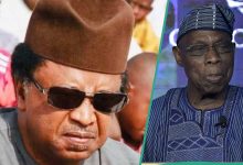 'What Happened in Prison When Obasanjo and I Were Serving Life Sentence', Shehu Sani Shares