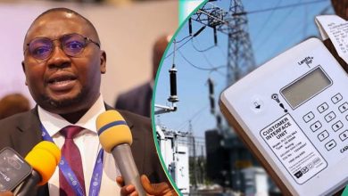 Tinubu’s Minister Under Fire As He Defends High Electricity Tariff: “He Doesn’t Know What Power Is”