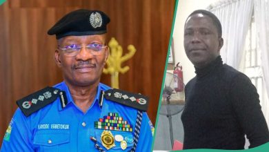 Top Security Expert Reacts as IGP Differs With Tinubu on State Police