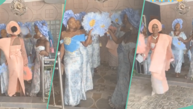 Bride Rocks Gorgeous Outfit, Pushes Off Bridesmaid Who Spoilt Her Formation, Peeps React