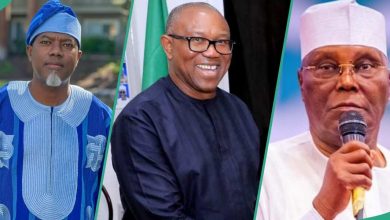 “Labour in Pain in PDP or Atiku’s Running Mate?” Reno Omokri Lists 3 Options for Obi Ahead of 2027