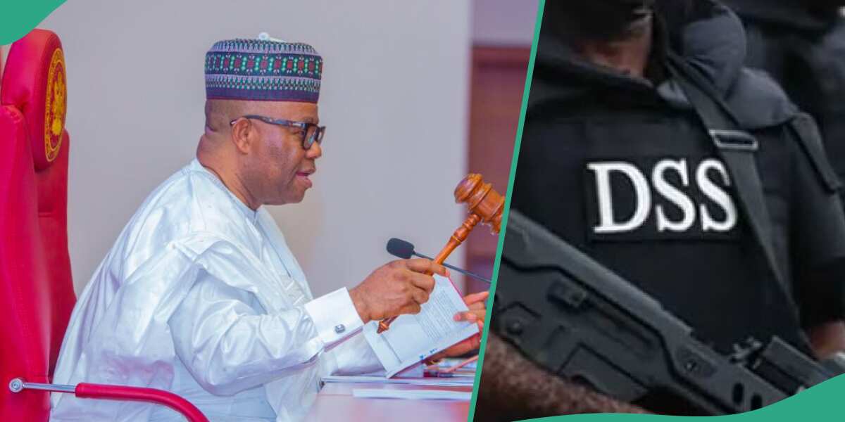 Drama as DSS Storms National Assembly, Details Emerge