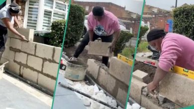 Woman Builds Wall, Tiles Her House Herself Without Calling Builders, Video Shows Her Mixing Cement