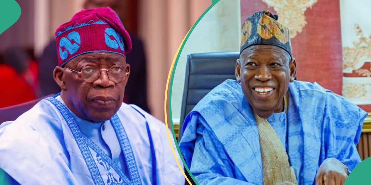“Should Sacrifice Himself”: APC Chief Reacts As Presidency Allegedly Declares Ganduje’s Seat Vacant