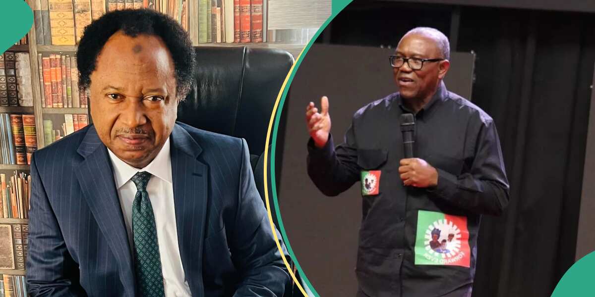 “Solve the Probability”: Shehu Sani Analyses Peter Obi’s Chance Of Clinching PDP Ticket in 2027
