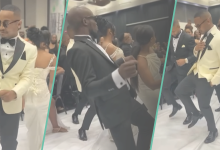 Couple, Groomsmen, and Bridesmaids Wear Cute Attire, Deliver Exciting Dance Performances at Wedding