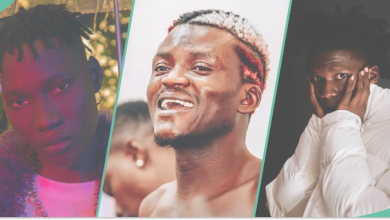 Portable Pleads With Seyi Vibez, Zino, Says He Only Wants to Make Music: "What About Bobrisky?"