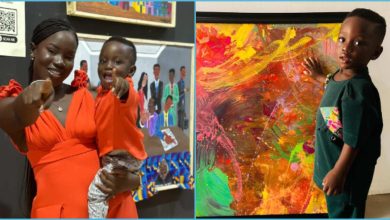 Guinness World Records: 6 Paintings That Made One-Year-Old Boy a World Record Holder Surface