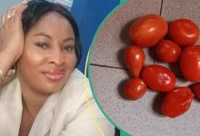 Nigerian Lady Displays Small Tomatoes She Bought for N1,500 in Market, People React to Photo