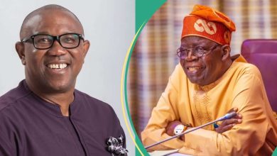 “We’ll Wrestle the Oppressors”: Peter Obi’s Supporters Make New Move To Dislodge Tinubu in 2027