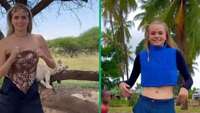 Woman Takes Tshwala Bami Challenge to New Heights, Dances in Front of Lions