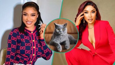 Tonto Dikeh complains about her white friend after they invited her to Zoom burial for their cat