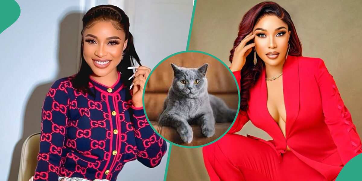 Tonto Dikeh complains about her white friend after they invited her to Zoom burial for their cat