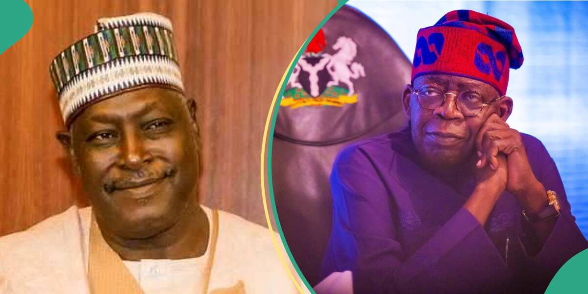 “Misguided, Hypocrite”: Northern Elites Disown Buhari’s Appointee Over Attack on Tinubu’s Govt