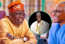 “Loyal Chieftains Still Without Appointment”: APC Chief Reacts to El-Rufai, Tinubu’s Alleged War