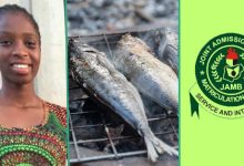 JAMB 2024: Fish Seller Writes UTME After Studying During Market, Scores 224 in Aggregates