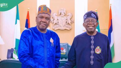 “Are You Talking Back at Atiku?” Daniel Bwala Under Fire for Defending Tinubu’s Absence in Aso Villa