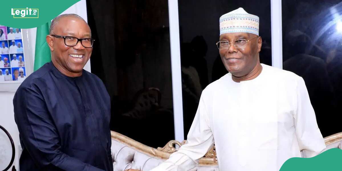 “They Harbour Reservations”: Ohanaeze Warns Peter Obi Over Northern Endorsements, Merger With Atiku