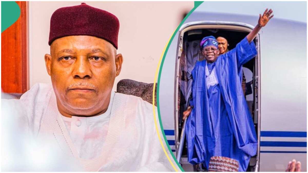 Lawyer Shares The Position of The Law as Tinubu, Shettima's Absence 'Creates Leadership Vacuum'