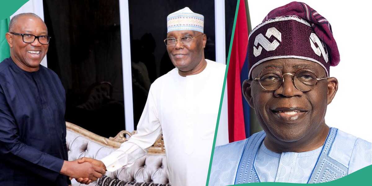 2027 Presidency: Buhari’s Ex-Aide Reveals How Atiku, Peter Obi Will Work for Tinubu’s Re-Election