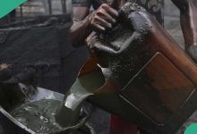 "Niger-Delta Naval Officers Stealing Oil, Should Be Fired": Ohanaeze Ndigbo Writes Tinubu