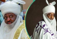 Emir Tussle: What Kano Govt Needs to Do to Defeat Opponents, Don Speaks Out