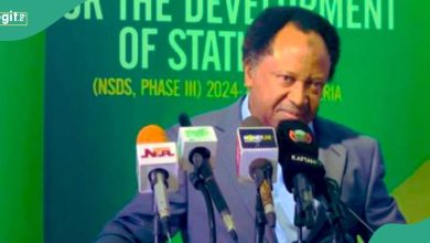 Minimum Wage: Shehu Sani Speaks on What Will Happen If FG Agrees to Pay 400k