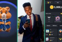 Hamster Kombat Launch Date: 4 Things Nigerians Should Know about the Trending Telegram Game
