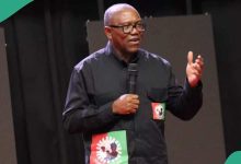 “United by Shared Vision”: Obidient’ Movement Is Far Beyond Any Political Party, Peter Obi Explains