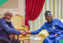 Afenifere Applauds Tinubu for Naming FCT Highway After Soyinka: "It's Better Late than Never"