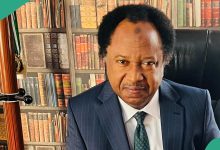 "Loot and Go": Shehu Sani Reacts as Lawmakers Propose Six year Term For President, Governors