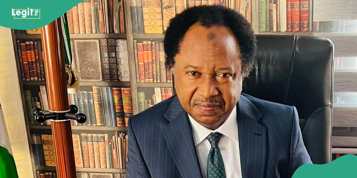 Shehu Sani Reacts as Bill Seeking New Southeast State Scales First Reading in National Assembly
