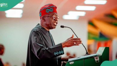 BREAKING: Tinubu Agrees to Legalise LGBT Rights in Nigeria? FG Opens Up
