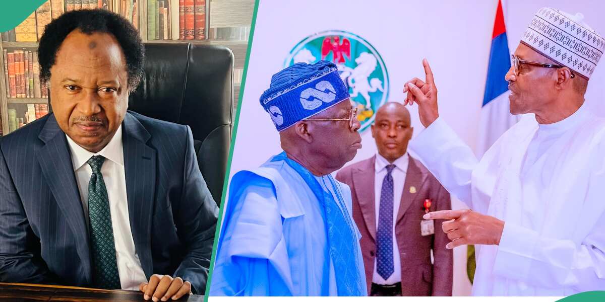 Shehu Sani Issues Strong Warning to Northern Leaders “Rallying Buhari in Plot” To Sack Tinubu