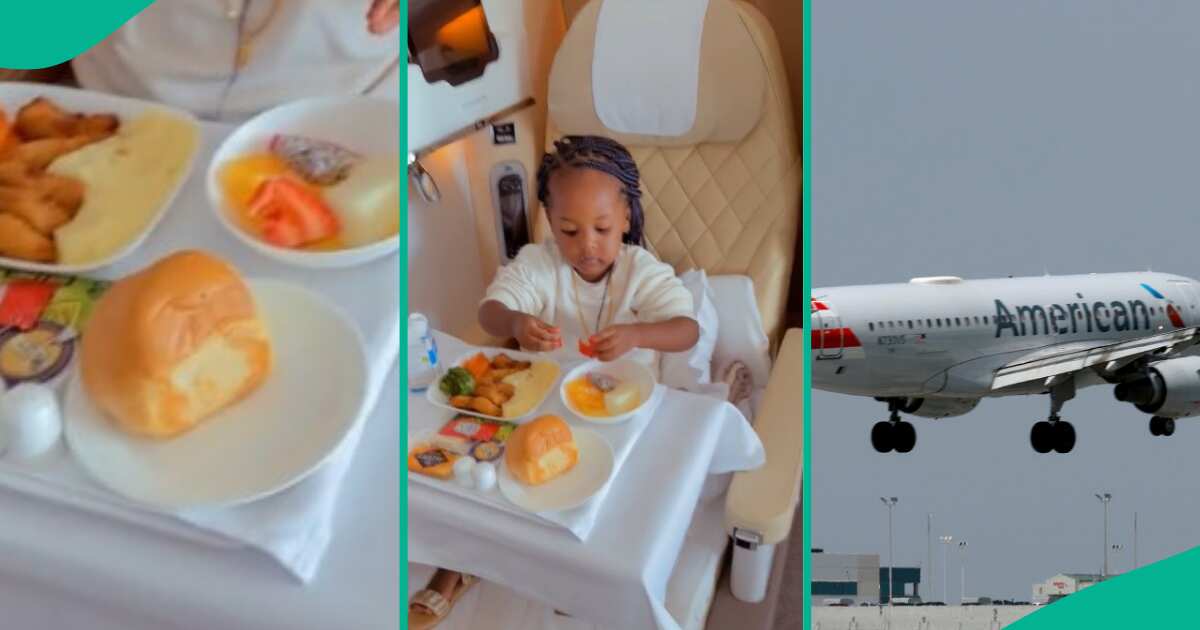 Funny Little Girl Enjoys Meal on the Airplane, Her Blissful Experience Captured