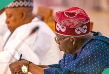 BREAKING: Tinubu Appoints New Heads for Nigeria’s Climate Change Councils