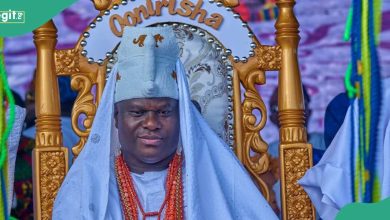 “For Public Use”, Ooni Announces Creation of Hospital, Video Trends