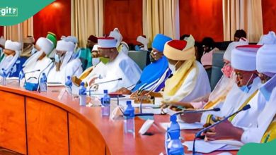 Emirate Tussle: Northern Group Issues Strong Warning to Governors Undermining Traditional Authority