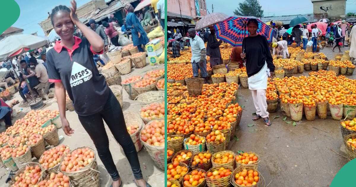 "I Started as a Youth Corper": Nigerian Lady Celebrates Making Her First N1m in Her Tomato Business
