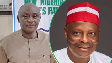 Kano Emirate: Drama as NNPP Denies Kwankwaso Over Alleged Letter Sent to Lawmakers, Details Surface